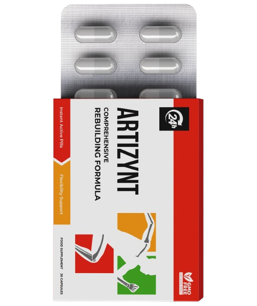 ArtiZynt